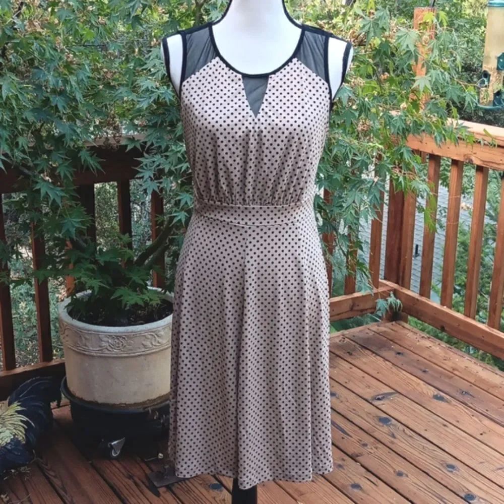 NWT Enfocus Studio Black and Tan Dress